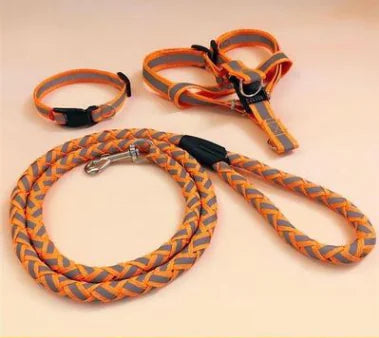 NightGlow Reflective Dog Leash