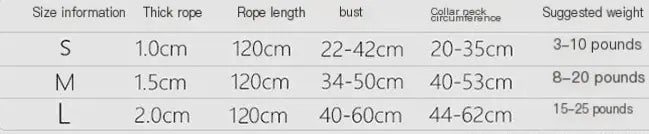 NightGlow Reflective Dog Leash