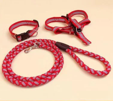 NightGlow Reflective Dog Leash