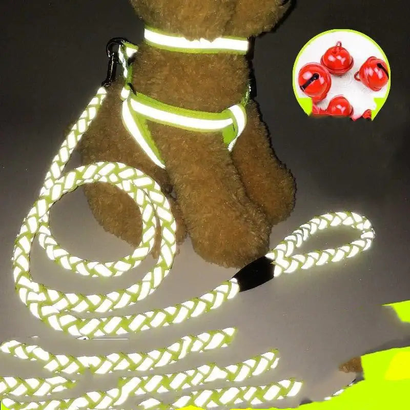 NightGlow Reflective Dog Leash