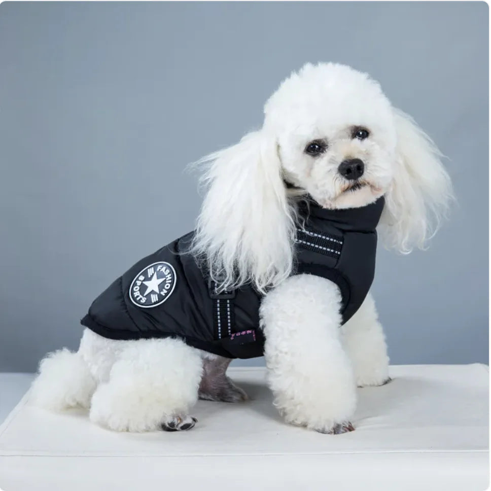 Winter Warmth Pet Vest