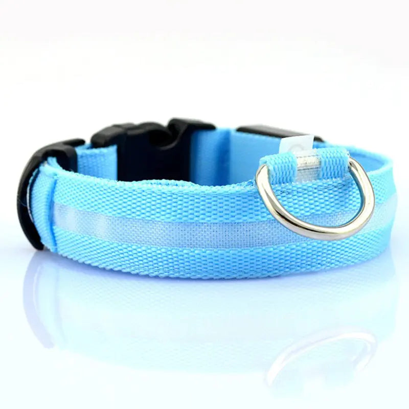 Glowing Pet Safety Collar