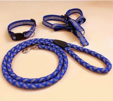 NightGlow Reflective Dog Leash