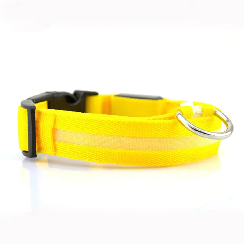 Glowing Pet Safety Collar