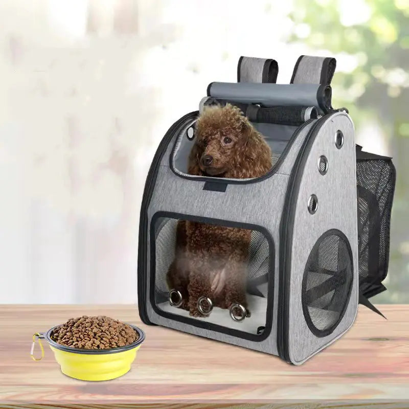 Compact Pet Adventure Backpack