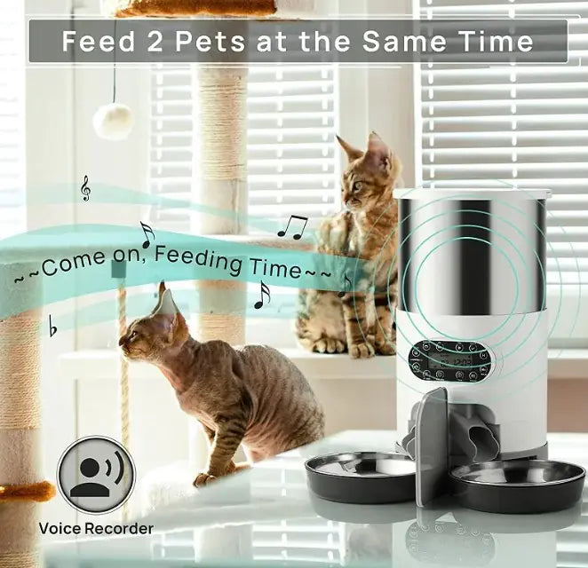 TwinPort Pet Feeder