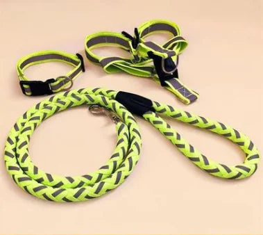 NightGlow Reflective Dog Leash