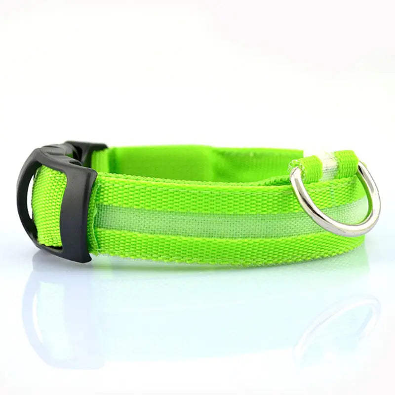 Glowing Pet Safety Collar