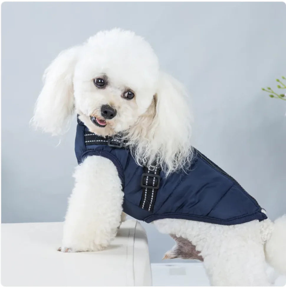Winter Warmth Pet Vest