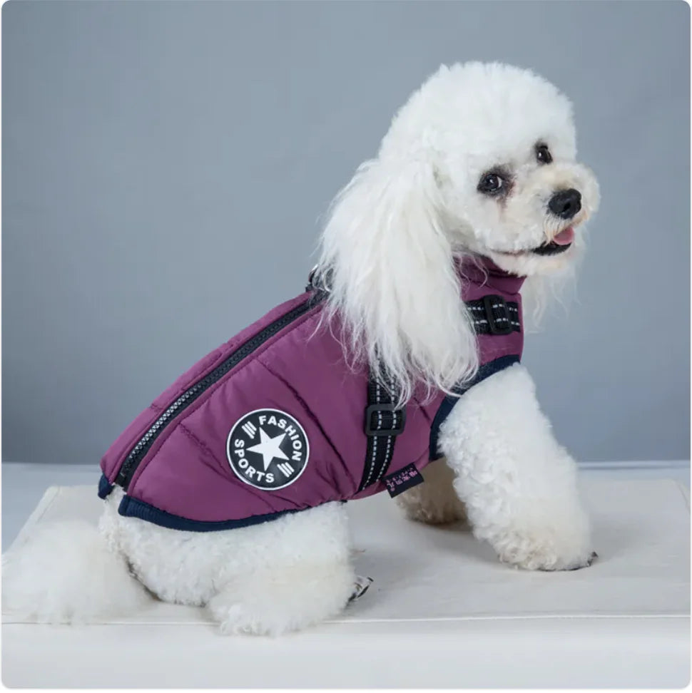 Winter Warmth Pet Vest