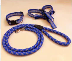 NightGlow Reflective Dog Leash