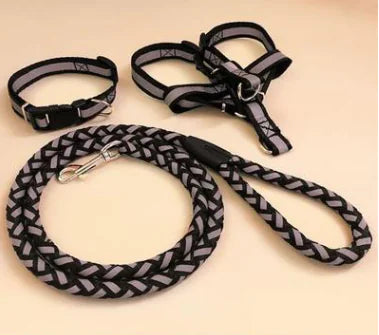 NightGlow Reflective Dog Leash