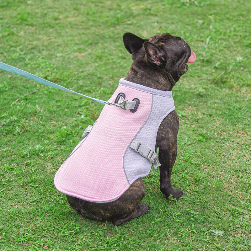 Chill Pet Vest