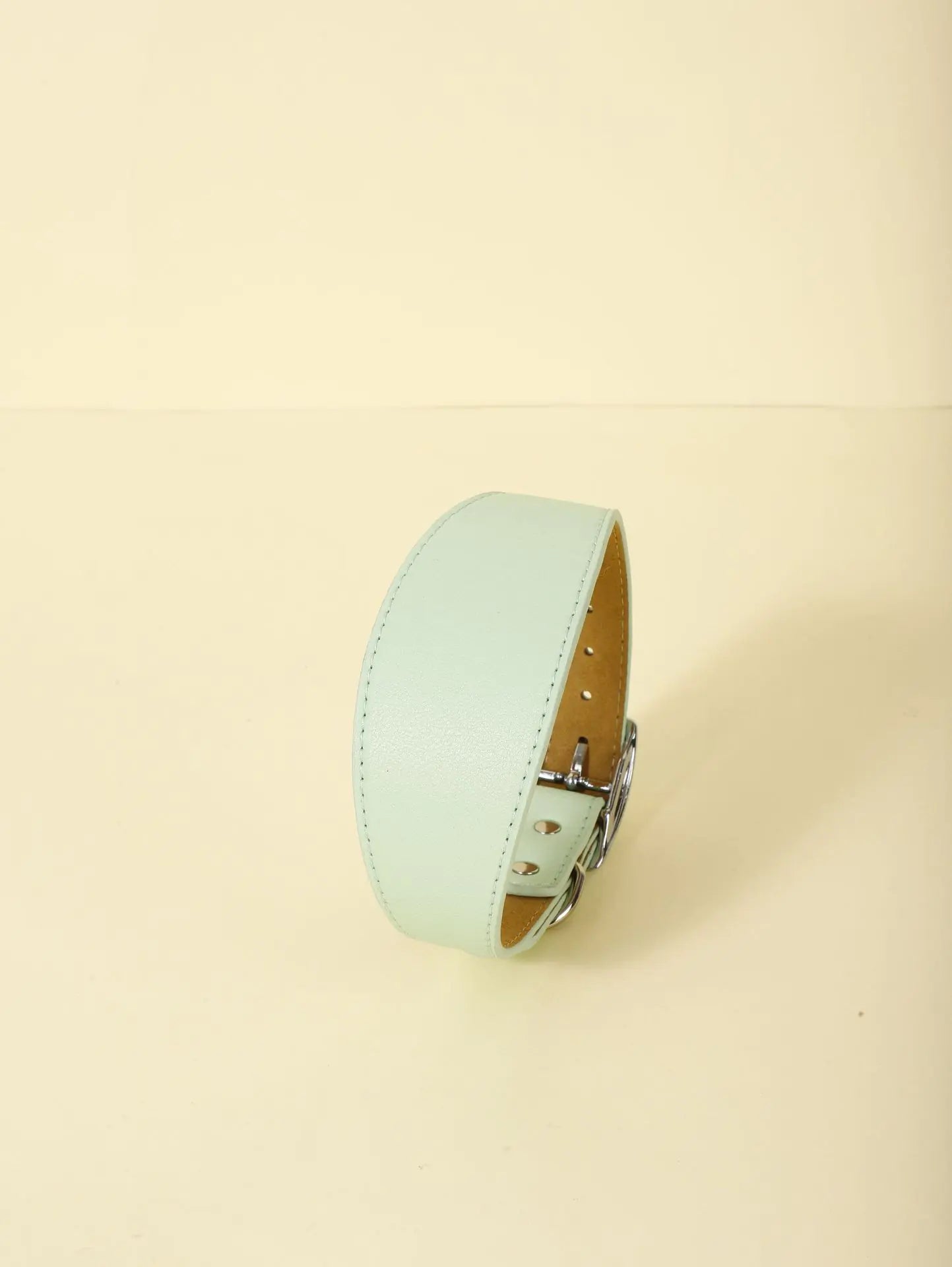 Trendy Microfiber Pet Collar